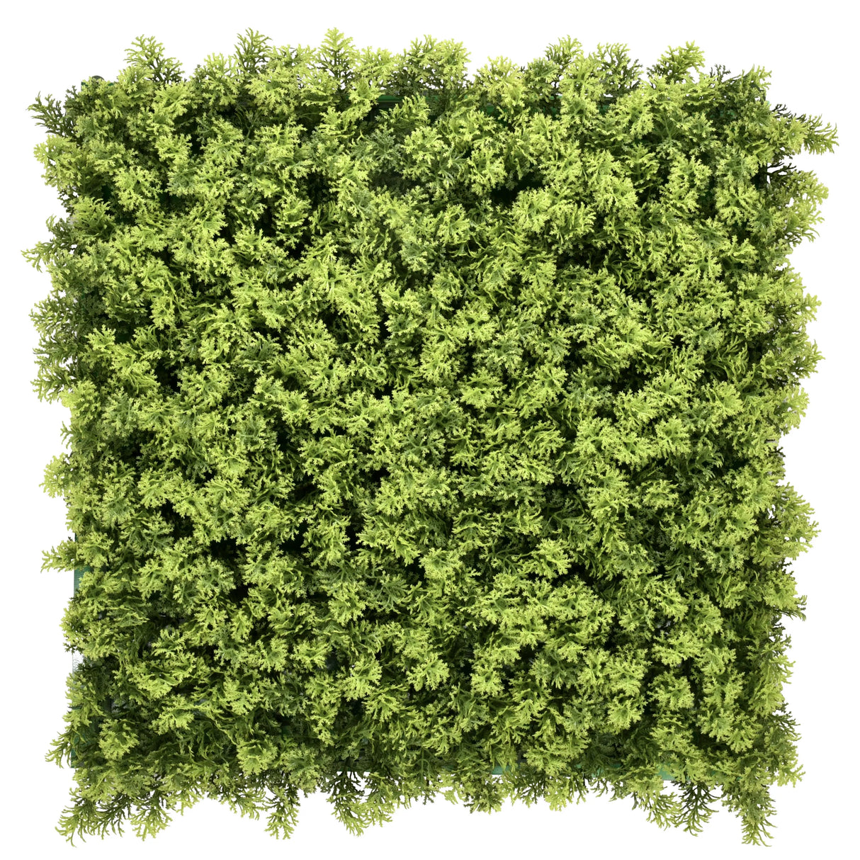 LEAFLUXE 3 - Pflanzenmatte
