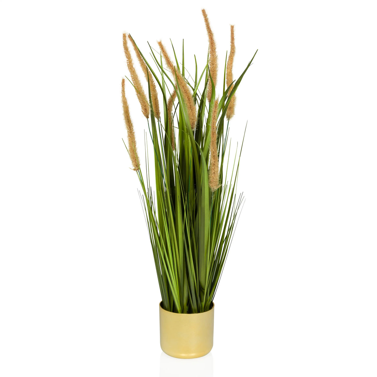 CORTADERIA I - Kunstpflanze