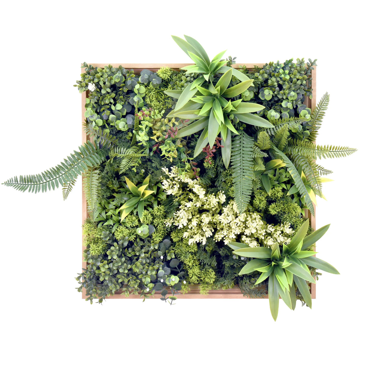 LEAFLUXE WALL 1 - Pflanzenmatte
