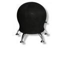 SITNESS 5 - Sitzball