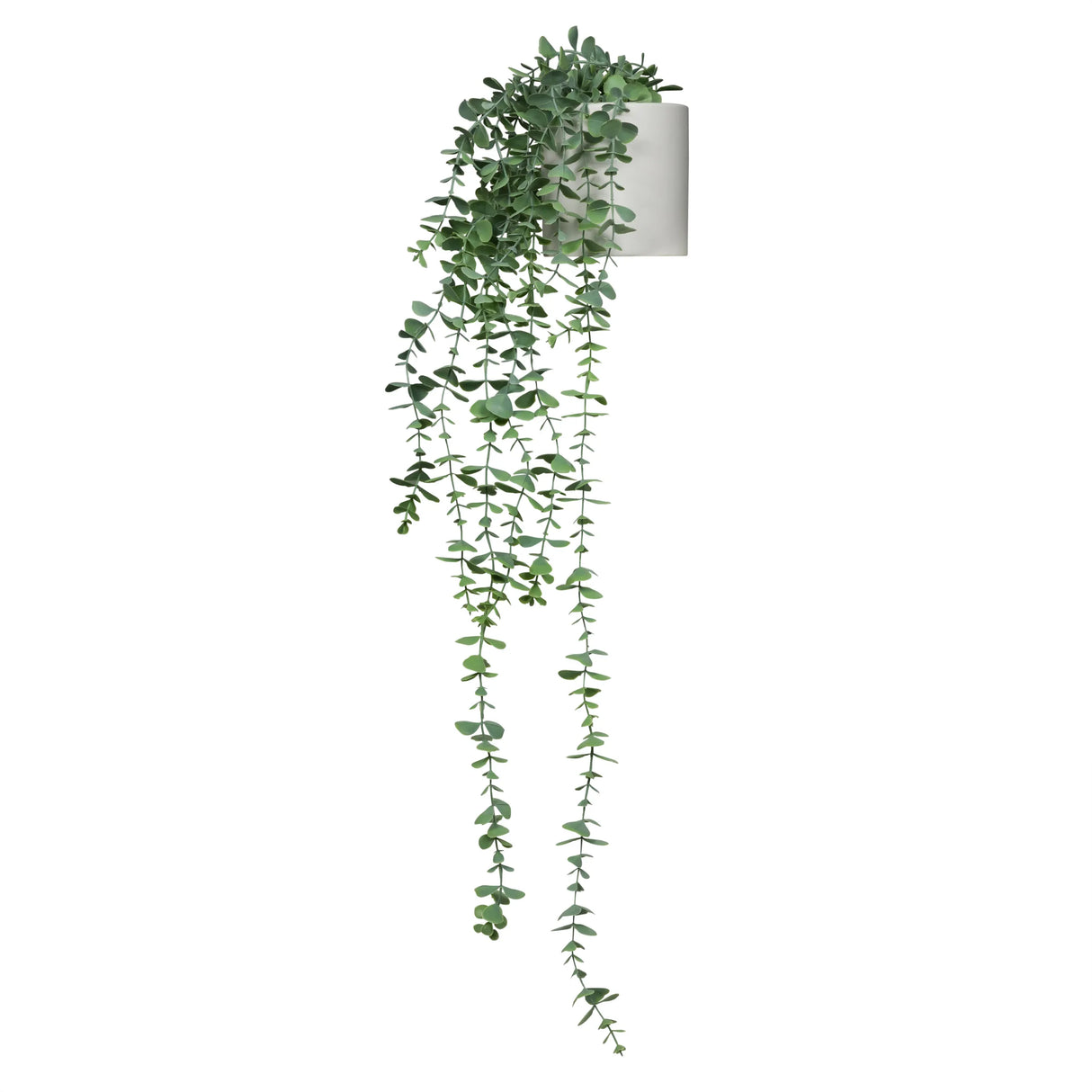 EUCALYPTUS CLIMB - Kunstpflanze
