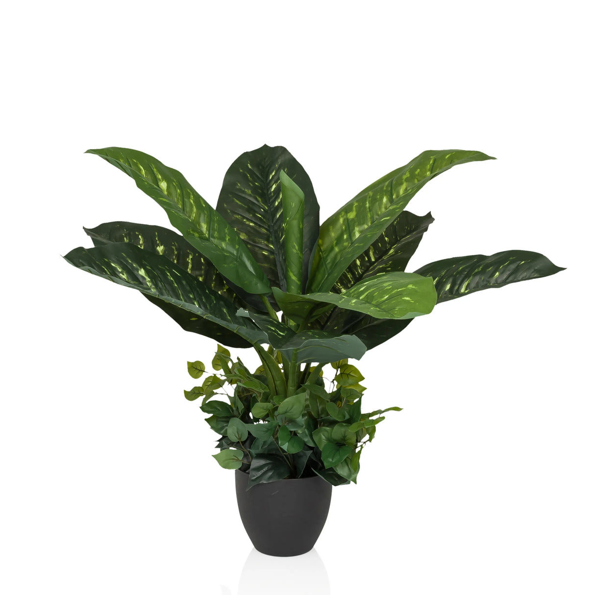 DIEFFENBACHIA - Kunstpflanze