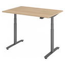 XDLR 12 G | 120x80 | Schreibtisch elektrisch höhenverstellbar