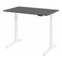XBHM 12 WW | 120x80 | Schreibtisch elektrisch höhenverstellbar