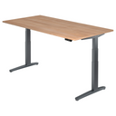 XBHM 2E GG | 200x100 | Schreibtisch elektrisch höhenverstellbar