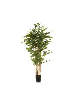 BAMBUS II - Kunstpflanze 