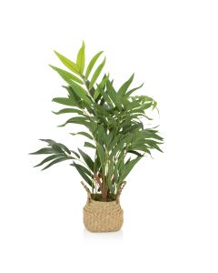 CHAMAEDOREA - Kunstpflanze 