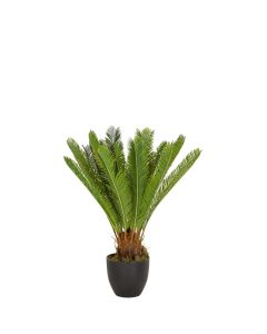 CYCAS - Kunstpflanze