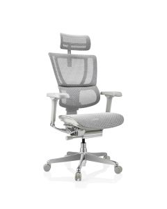 ERGOHUMAN SLIM G GEN2 | Netz - Luxus Chefsessel 