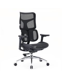 S100-M301 | Sihoo - Profi Bürostuhl