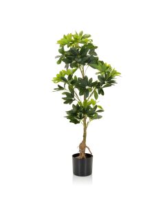 SCHEFFLERA - Kunstpflanze 