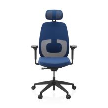 Skandis Pro | mit Kopfstütze | Rahmen: Schwarz - Profi Bürostuhl Blau / Schwarz