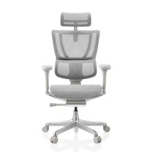 ERGOHUMAN SLIM G GEN2 | Netz - Luxus Chefsessel Hellgrau