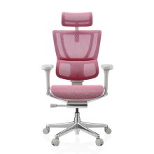 ERGOHUMAN SLIM G GEN2 | Netz - Luxus Chefsessel Rosa