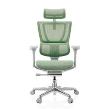 ERGOHUMAN SLIM G GEN2 | Netz - Luxus Chefsessel Grün