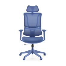 Ergomy Colore | Stoff / 3D Netz | Rahmen: Bunt - Home Office Bürostuhl Blau
