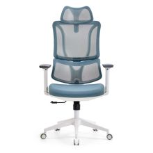 ERGOMY W | Stoff / Netz | Rahmen: Weiß - Profi Bürostuhl Blau