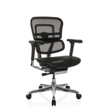 ERGOHUMAN BASE GEN2 | Netz - Luxus Chefsessel Schwarz