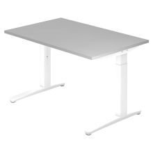 XTRA XB 12 WW | Schreibtisch - Grau 120 x 80 höhenverstellbar