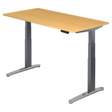 XBHM 16 GC | Schreibtisch - Buche 160 x 80 elektrisch höhenverstellbar
