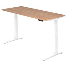 XBHM 19 WW | Schreibtisch - 180 x 80 Nussbaum elektrisch höhenverstellbar