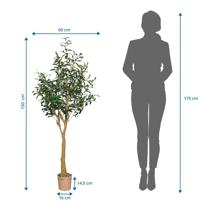 OLIVE II - Kunstpflanze Grn / Schwarz