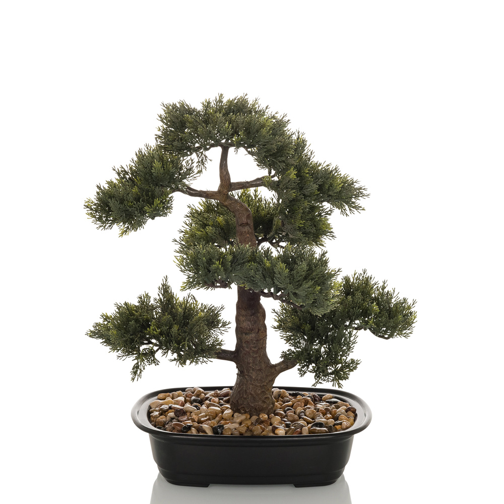 art bonsai Bonsai Fine Art Print  Chris Chun